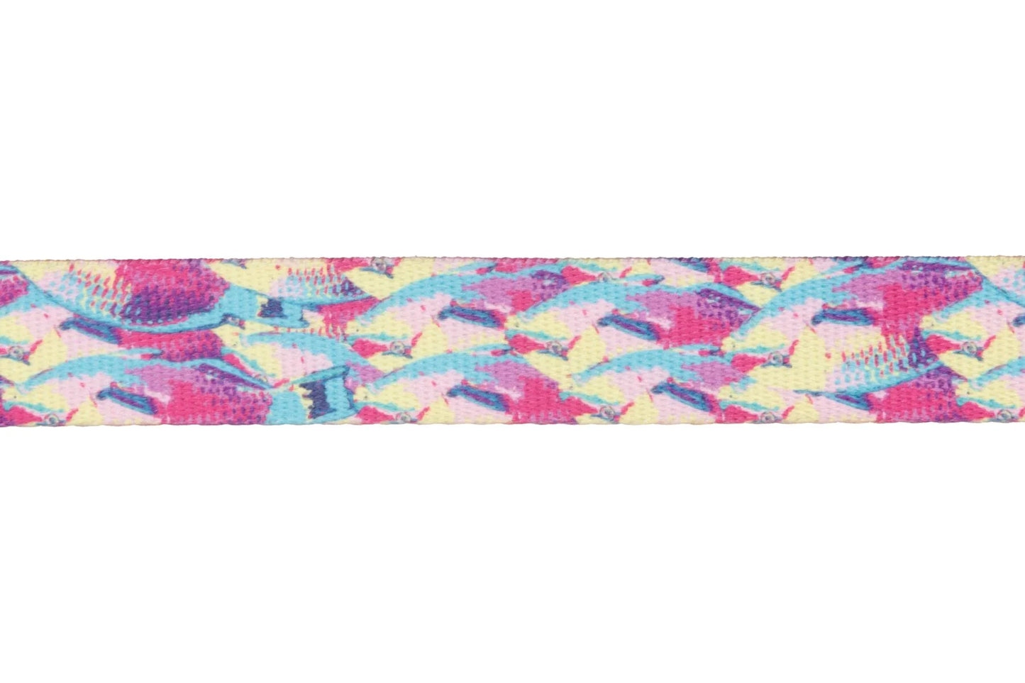 RUFFWEAR Front Range Collar Reef Fish