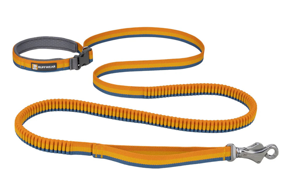 RUFFWEAR Roamer Leash Yellow Snow