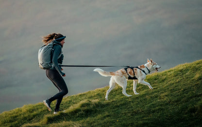 (2026 NEW)  RUFFWEAR Ridgeline Leash - Obsidian Black