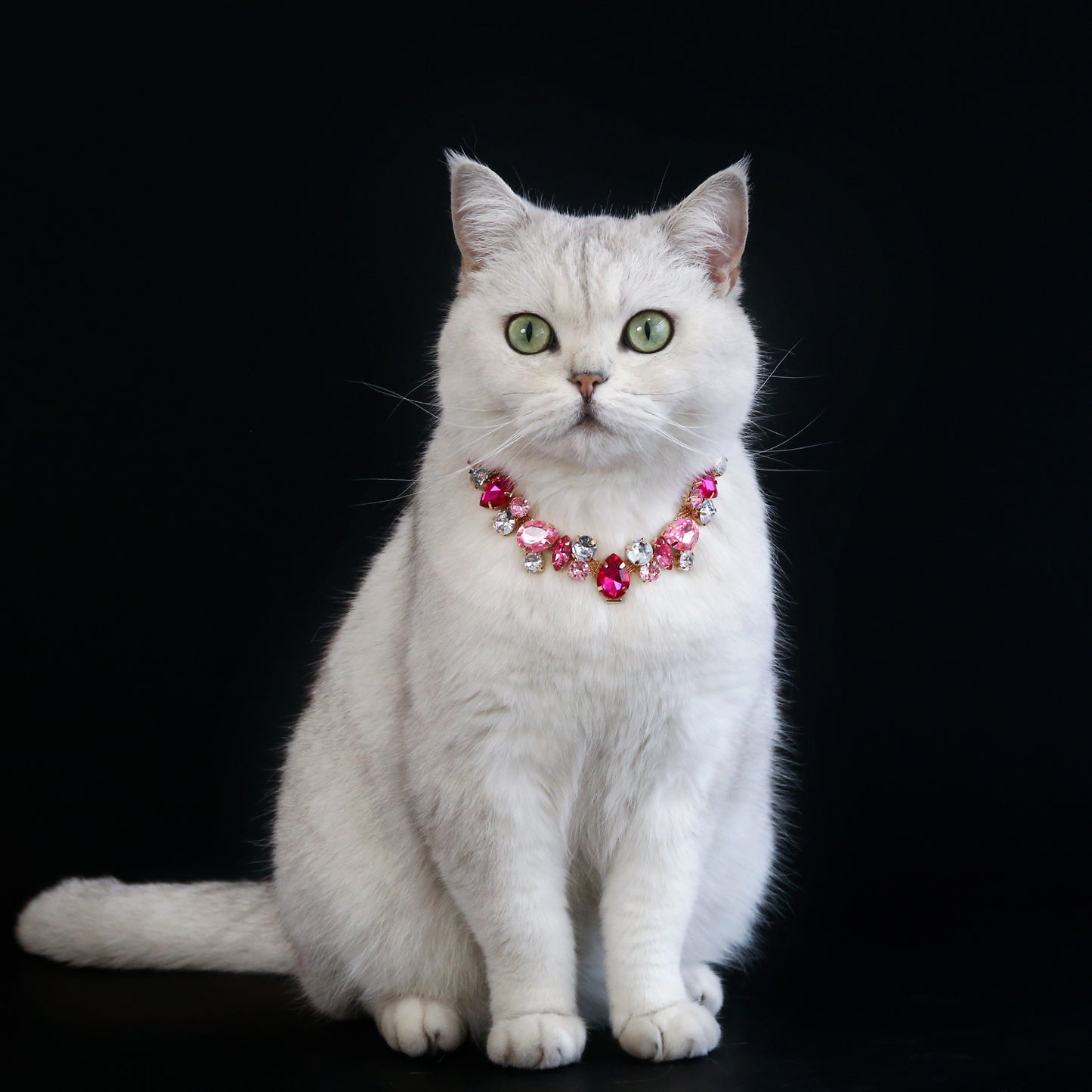 Royal Crystal Teardrop Pet Necklace