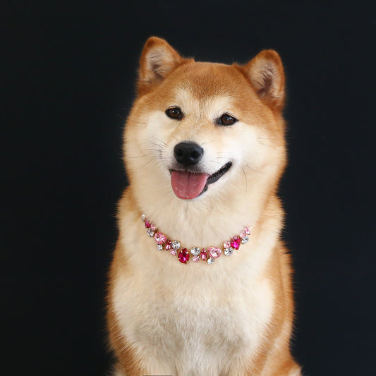 Royal Crystal Teardrop Pet Necklace