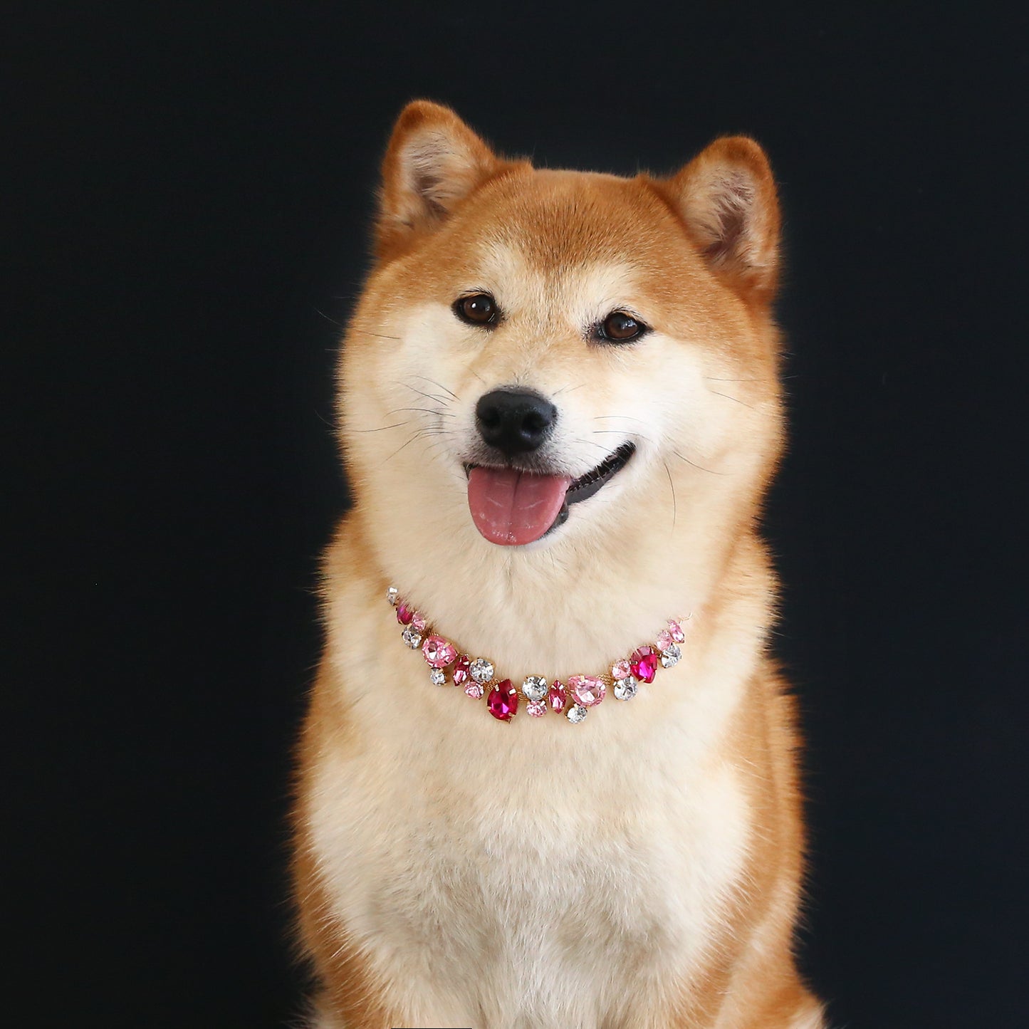 Royal Crystal Teardrop Pet Necklace