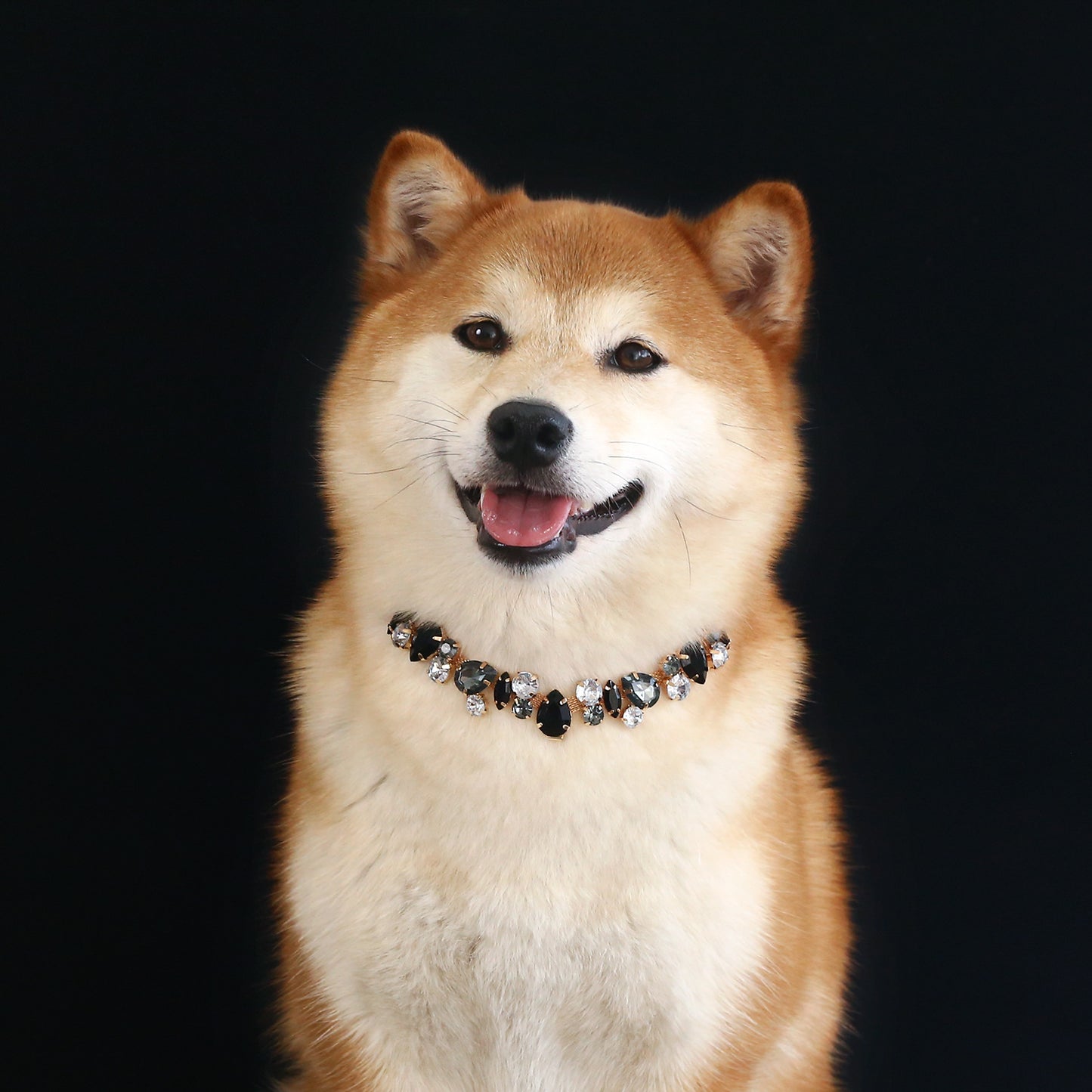 Royal Crystal Teardrop Pet Necklace