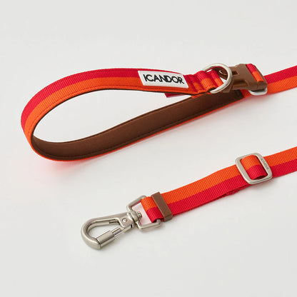 iCANDOR Gentle Leash Bolt, Long | Multi-Way Adjustable Dog Lead 1.3-2.3m