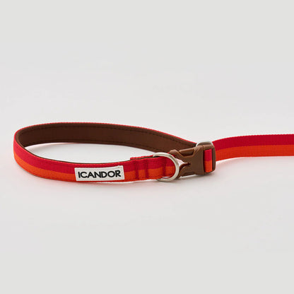 iCANDOR Gentle Leash Bolt, Long | Multi-Way Adjustable Dog Lead 1.3-2.3m