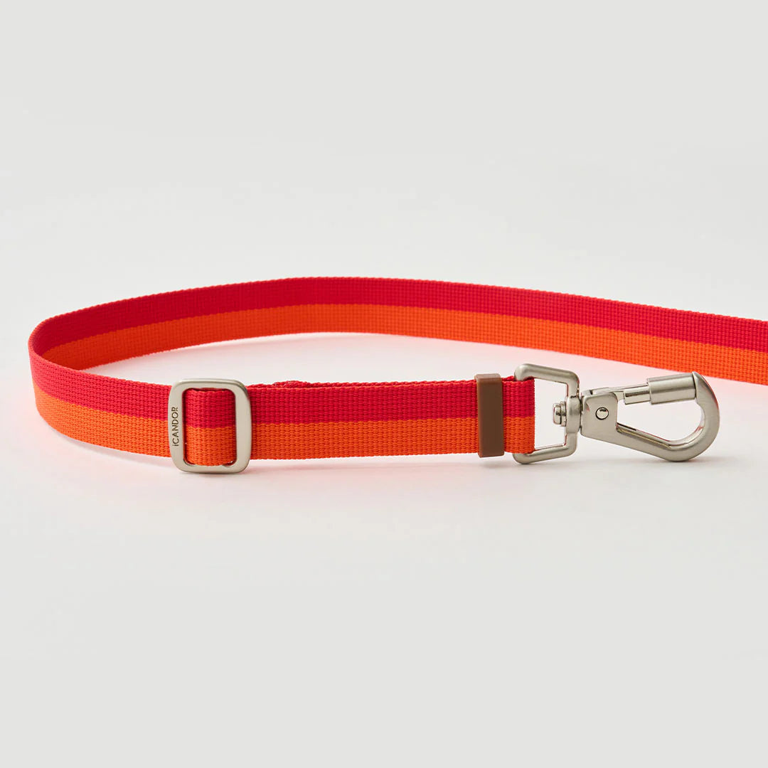 iCANDOR Gentle Leash Bolt, Long | Multi-Way Adjustable Dog Lead 1.3-2.3m