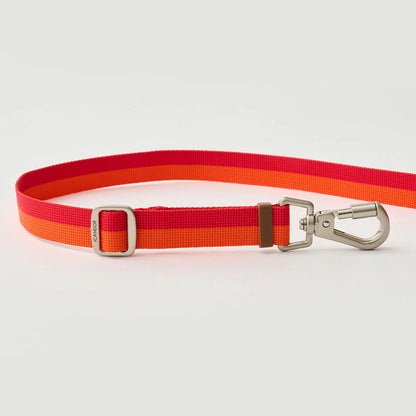 iCANDOR Gentle Leash Bolt, Long | Multi-Way Adjustable Dog Lead 1.3-2.3m