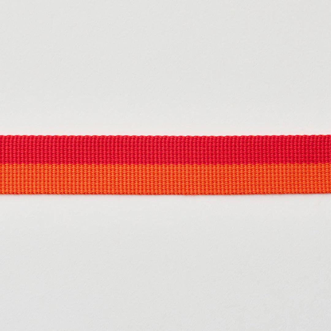 iCANDOR Gentle Leash Bolt, Long | Multi-Way Adjustable Dog Lead 1.3-2.3m