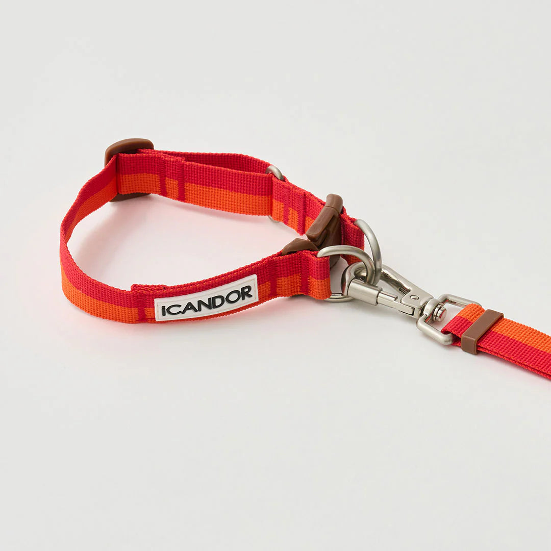 iCANDOR Gentle Leash Bolt, Long | Multi-Way Adjustable Dog Lead 1.3-2.3m