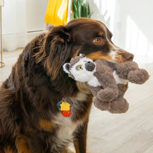 KONG Scampers Lemur Dog Toy Medium