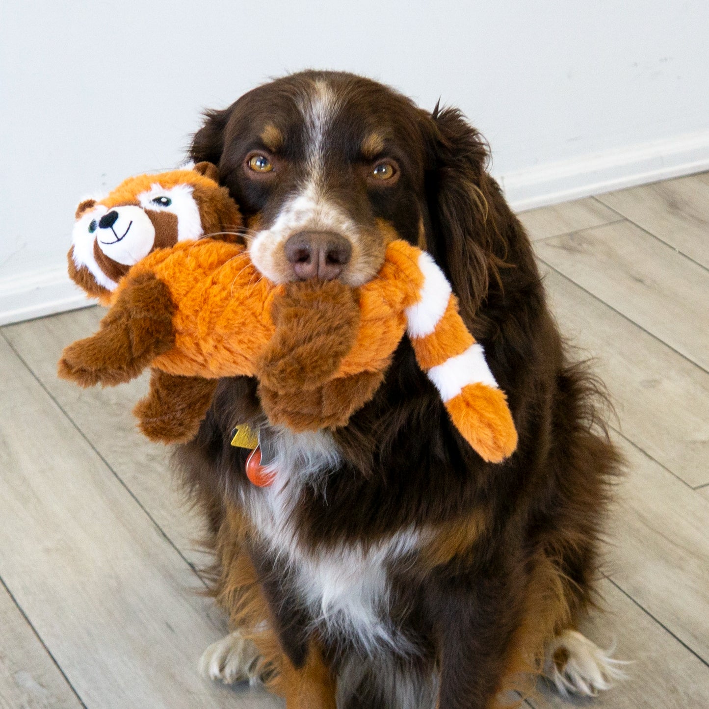 KONG Scampers RED PANDA Dog Toy Medium
