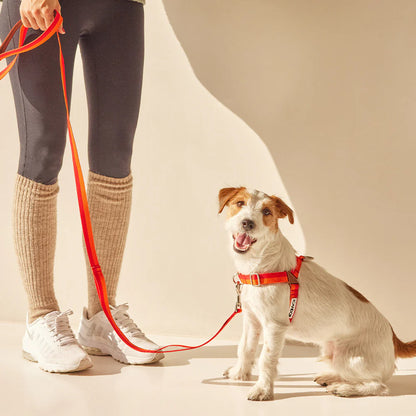iCANDOR Gentle Leash 1.6m