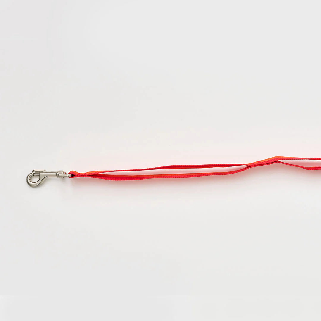 iCANDOR Gentle Leash 1.6m