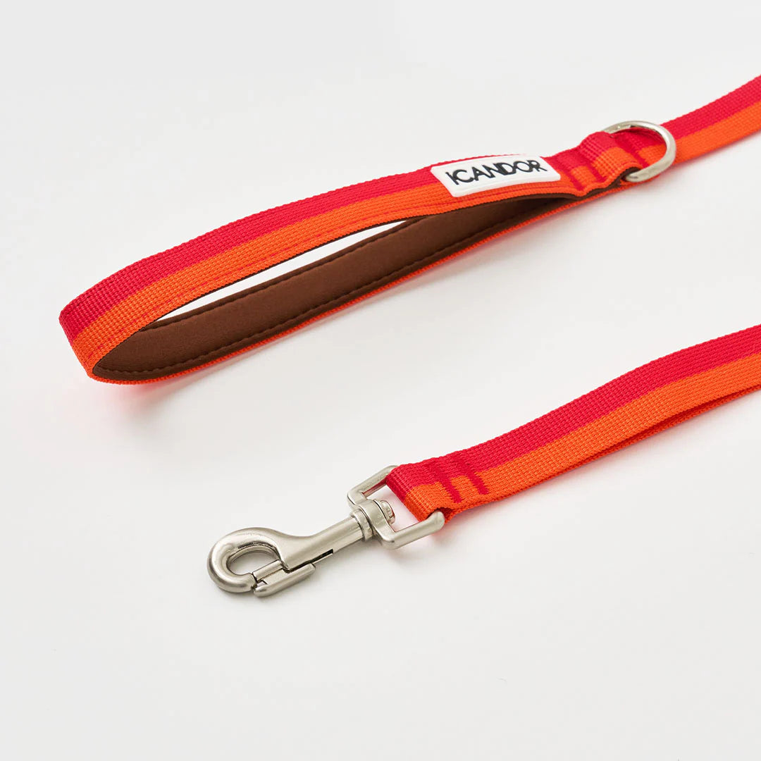iCANDOR Gentle Leash 1.6m
