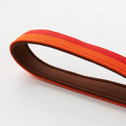 iCANDOR Gentle Leash 1.6m