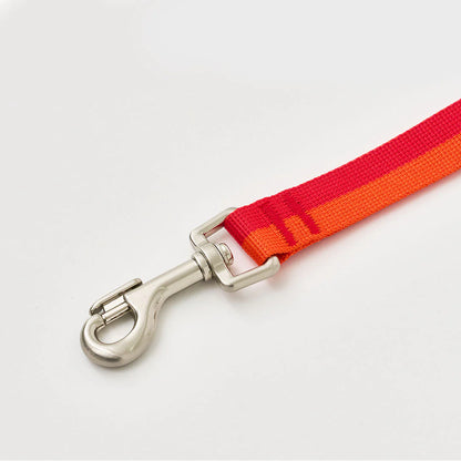 iCANDOR Gentle Leash 1.6m