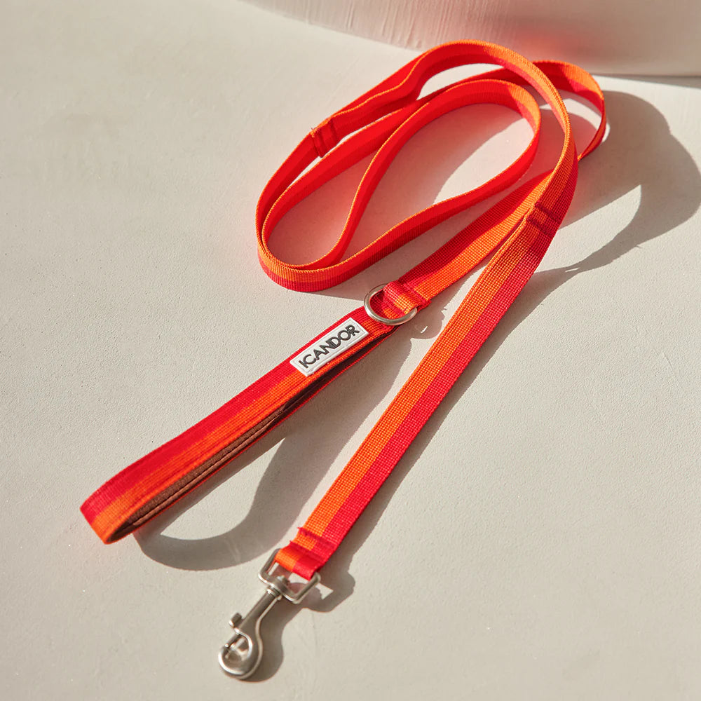 iCANDOR Gentle Leash 1.6m
