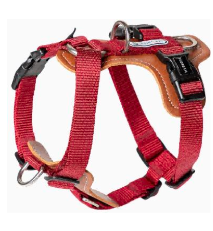 Bobo Series H-Style Dog Harness - Red
