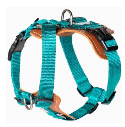 Bobo Series H-Style Dog Harness - Green