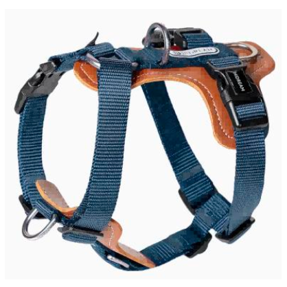 Bobo Series H-Style Dog Harness - Blue