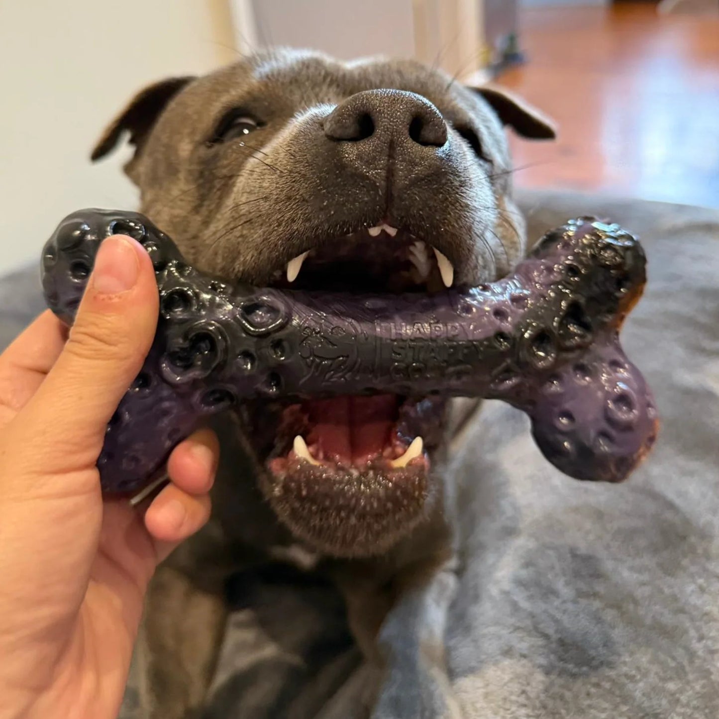 HAPPY STAFFY Cosmic Crater Bone