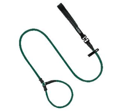 Bobo Series Thick P Dog Leash (180cm)- Green