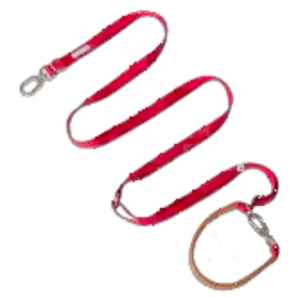 Bobo Series Multi-functional Dog Leash - Red