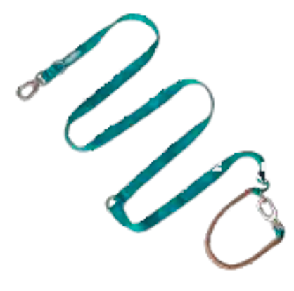 Bobo Series Multi-functional Dog Leash - Green