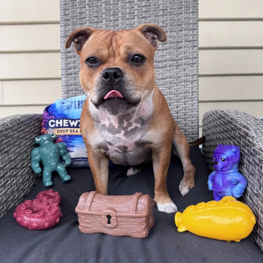 Happy Staffy Co. Chewzilla® Deep Sea Mission Dog Chew Toys