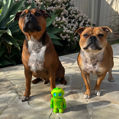 Happy Staffy Co. Musical Bot Dog Chew Toys