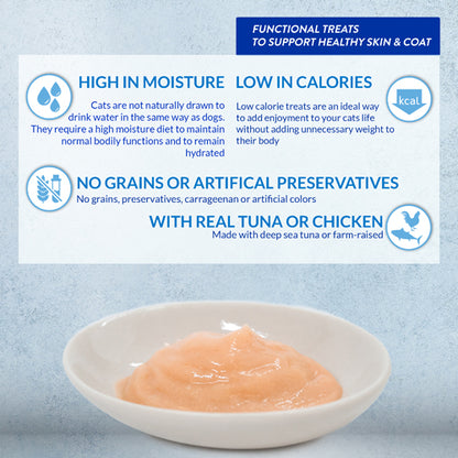 INABA Churu SKIN & COAT CHICKEN Recipe(14G X 4)