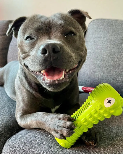 Happy Staffy Co. Crocodile Dental Chew Toy