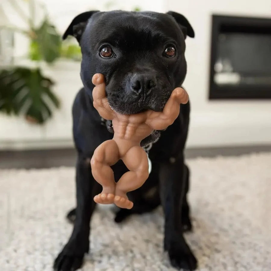 Happy Staffy Co. Staffy Schwarzenegger Dog Chew Toy