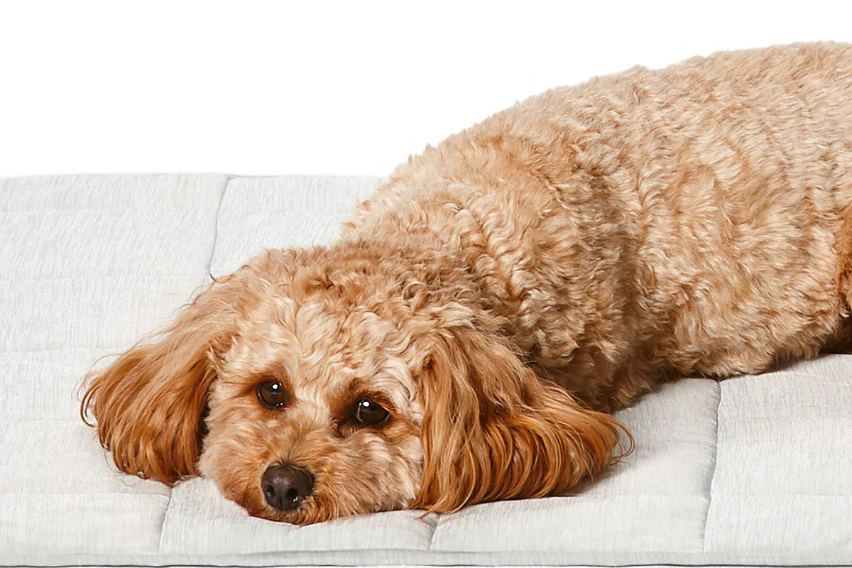 Snooza Cooling Comfort Blanket in Grey