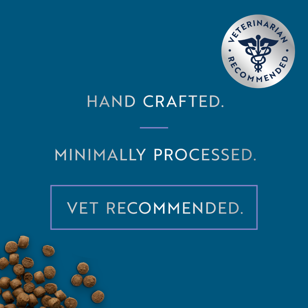 ZIWI Steam & Dried Chicken & Southern Blue Whiting Kitten Dry Food