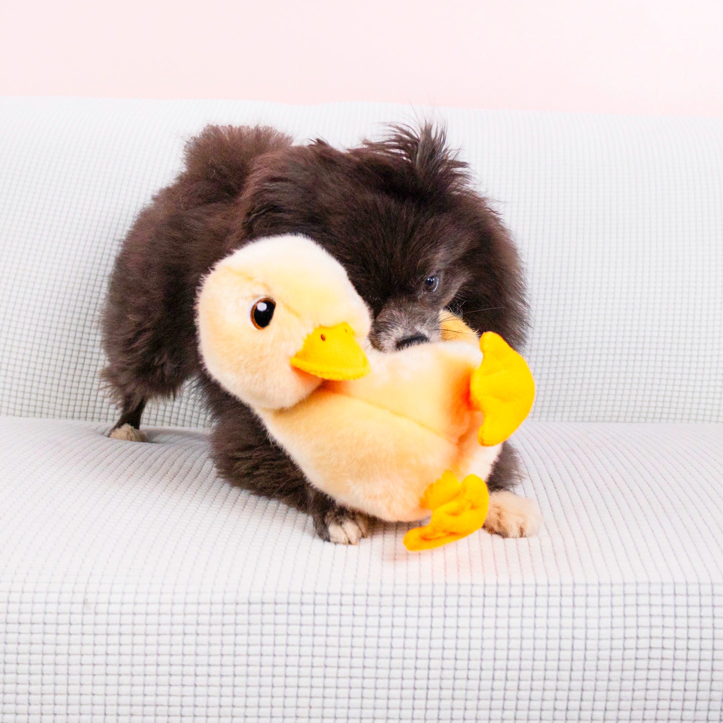 Kong Toughz DUCK Medium Dog Toy