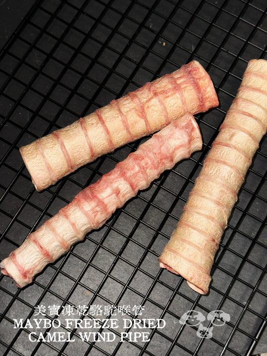 MAYBO FREEZE DRIED CAMEL TRACHEA 2-3PC凍乾駱駝喉管