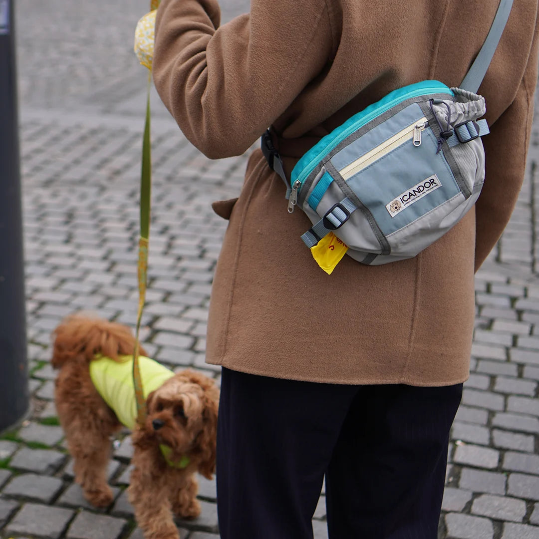 iCandor Urban Explorer Dog Walking Bag- Icy Gray