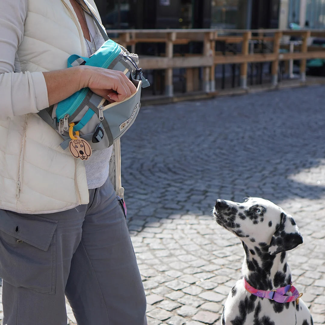 iCandor Urban Explorer Dog Walking Bag- Icy Gray