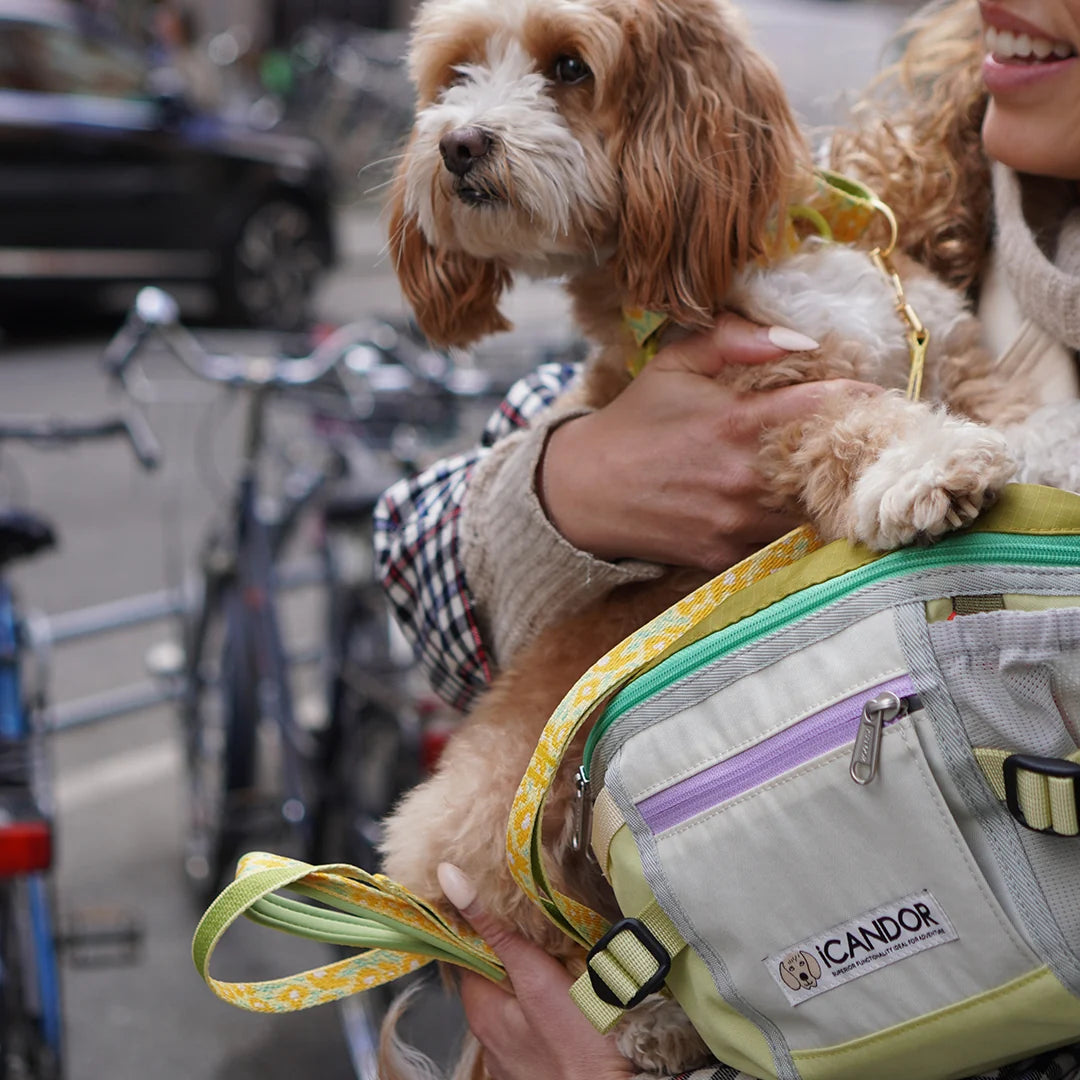 iCandor Urban Explorer Dog Walking Bag- Lime Yellow