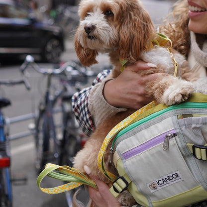 iCandor Urban Explorer Dog Walking Bag- Lime Yellow
