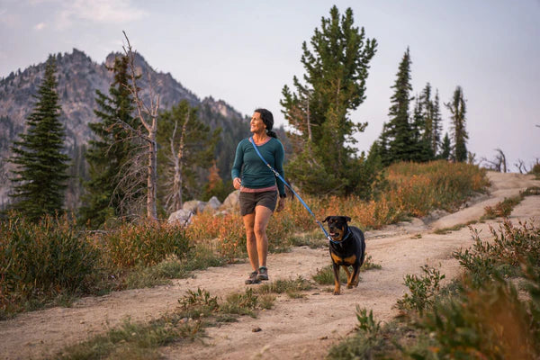 RUFFWEAR Switchbak Leash - River Rock Green