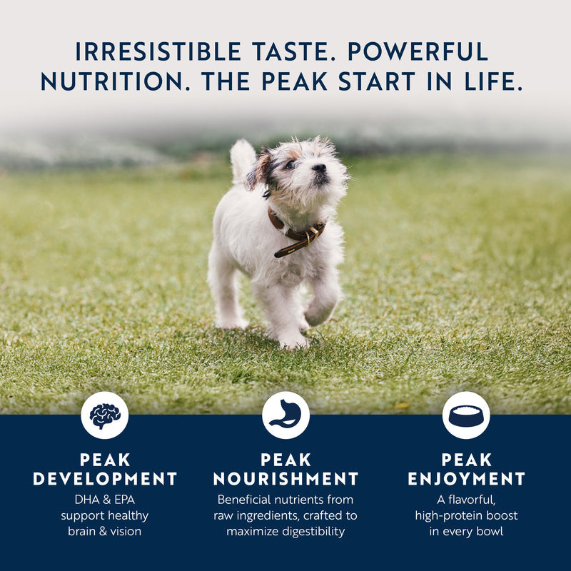 ZiwiPeak Wet Puppy Food Chicken with Lamb Recipe 170g