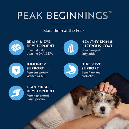 ZiwiPeak Wet Puppy Food Chicken with Lamb Recipe 170g