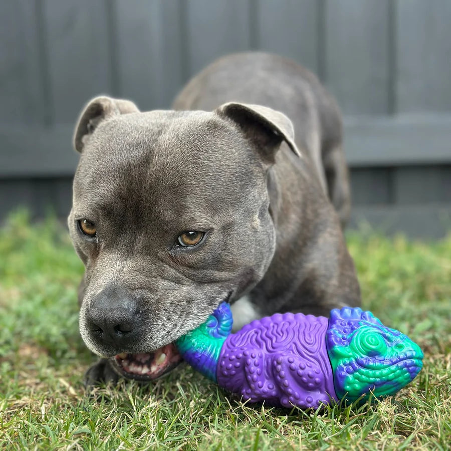 Happy Staffy Co. Camo the Chameleon Dog Chew Toy