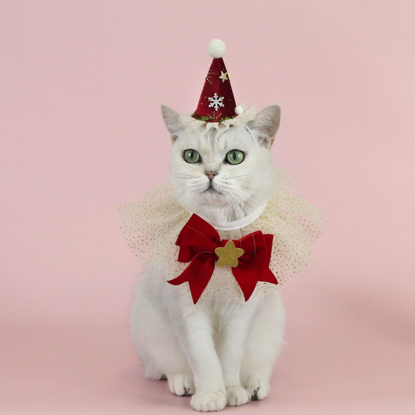 Pet Christmas Costume Set – Velvet Bow with Gold Lace