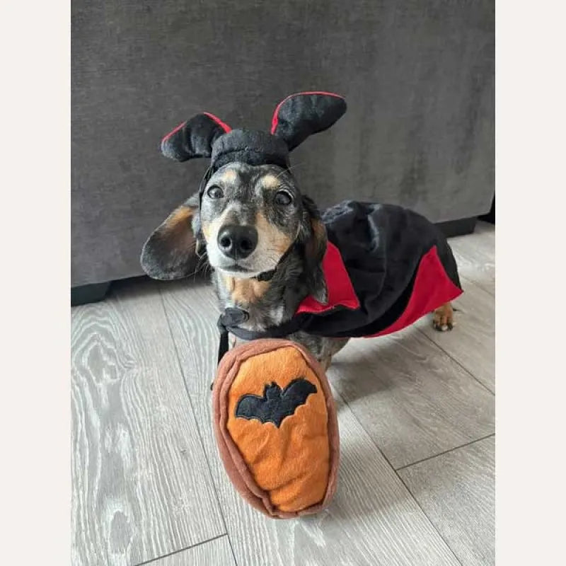 ZIPPYPAWS HALLOWEEN COSTUME KIT - DRACULA