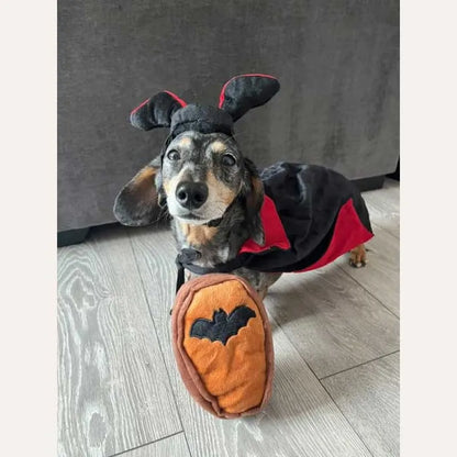 ZIPPYPAWS HALLOWEEN COSTUME KIT - DRACULA