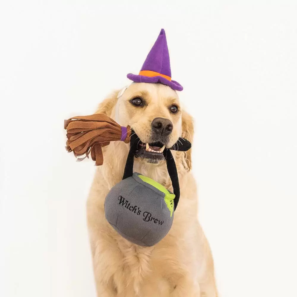 ZIPPYPAWS HALLOWEEN COSTUME KIT - WITCH