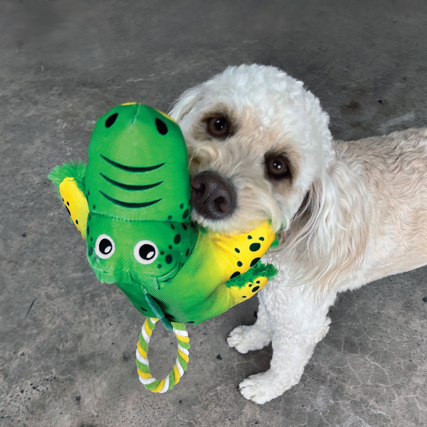 KONG COZIE TUGGZ ALLIGATOR Dog Toy MED/LGE